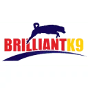 BrilliantK9